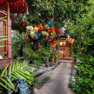  Auberge de jeunesse Travellers Oasis